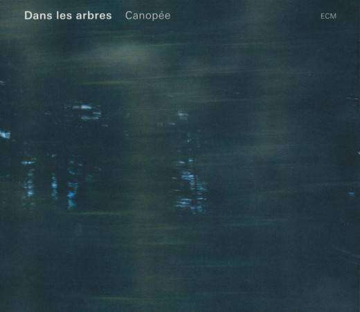 Dans les arbres
