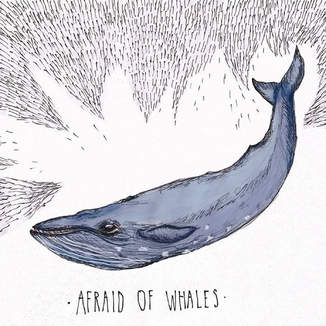 Afraid of whales