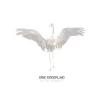 in_the_moment-33808354-frntl