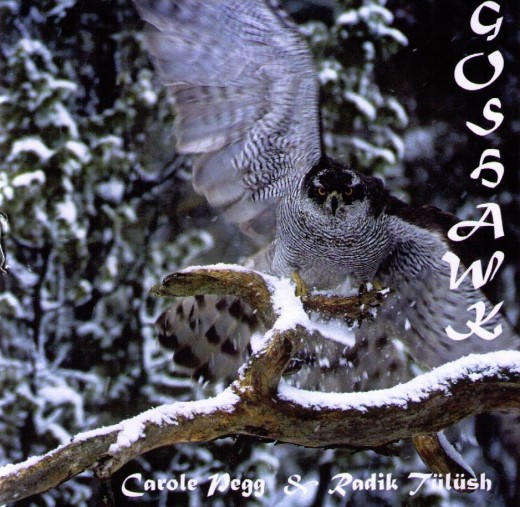 Goshawk