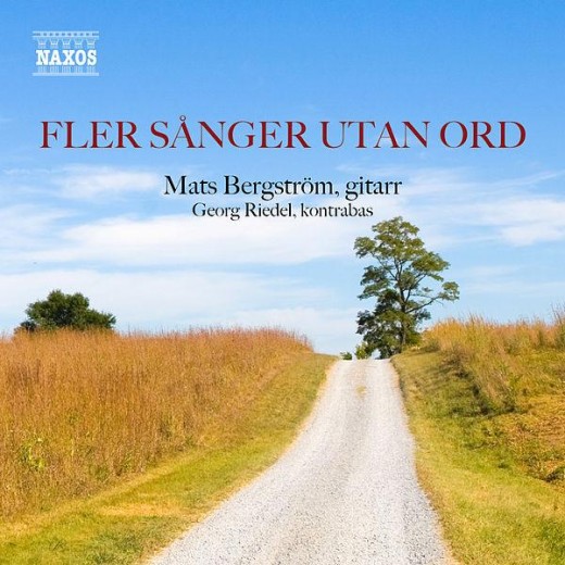 Fler sånger utan ord