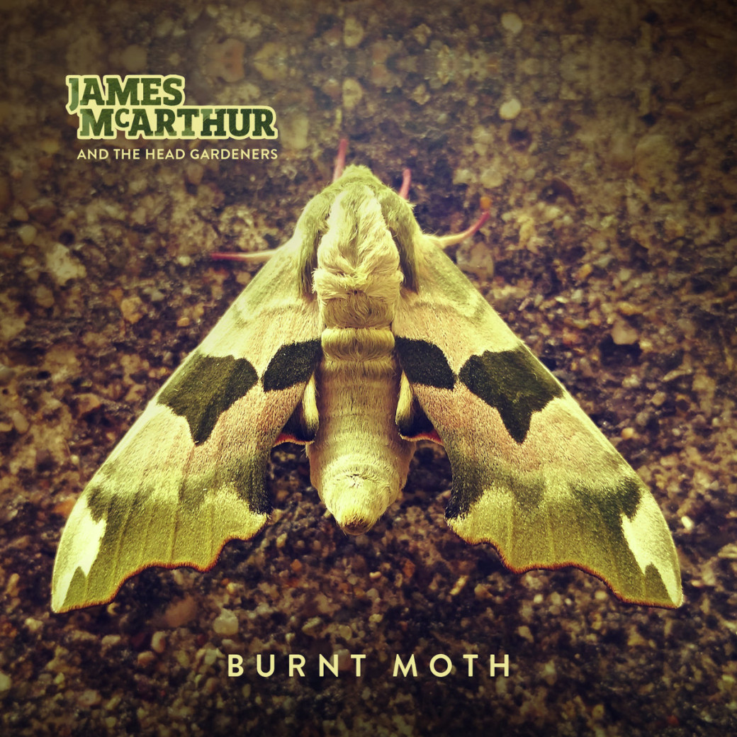 Burnt moth