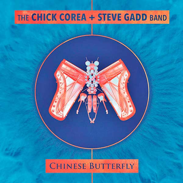 Chinese butterfly