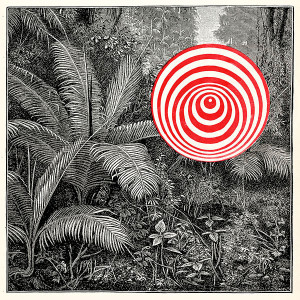 Goran-Kajfes-TropiquesHEAD027_Tropiques_iTunes