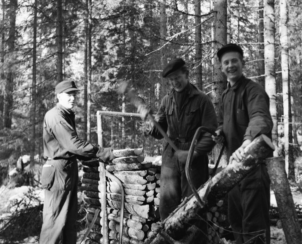 rallpersgubben kör timmer