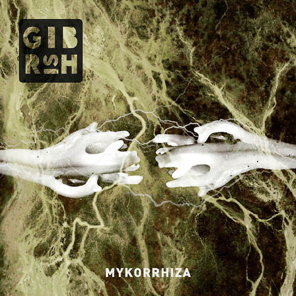 Mykorrhiza