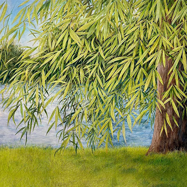 Nothing but green willow: The songs of Mary Sands and Jane Gentry