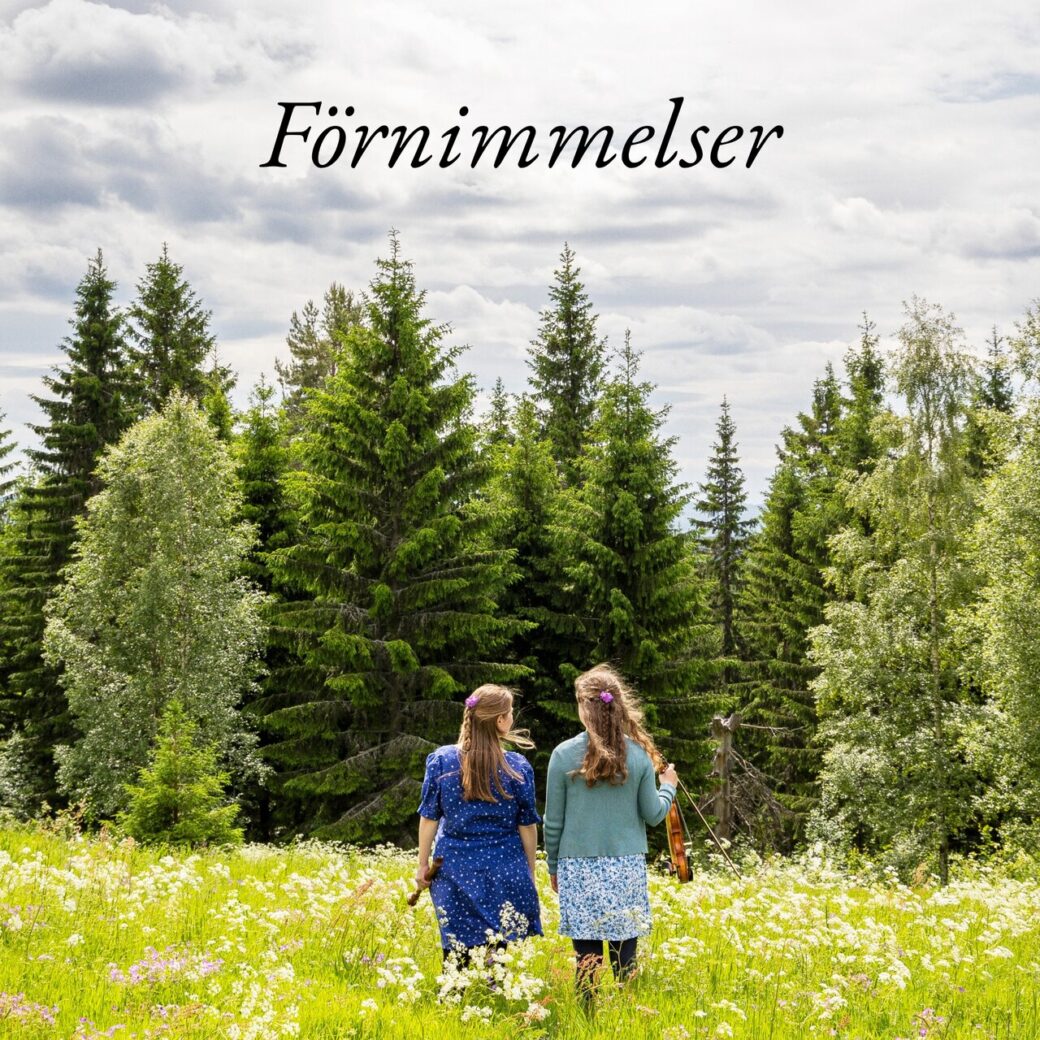 Förnimmelser